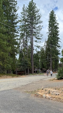 Lovely, scenic walks every morning, right near the property