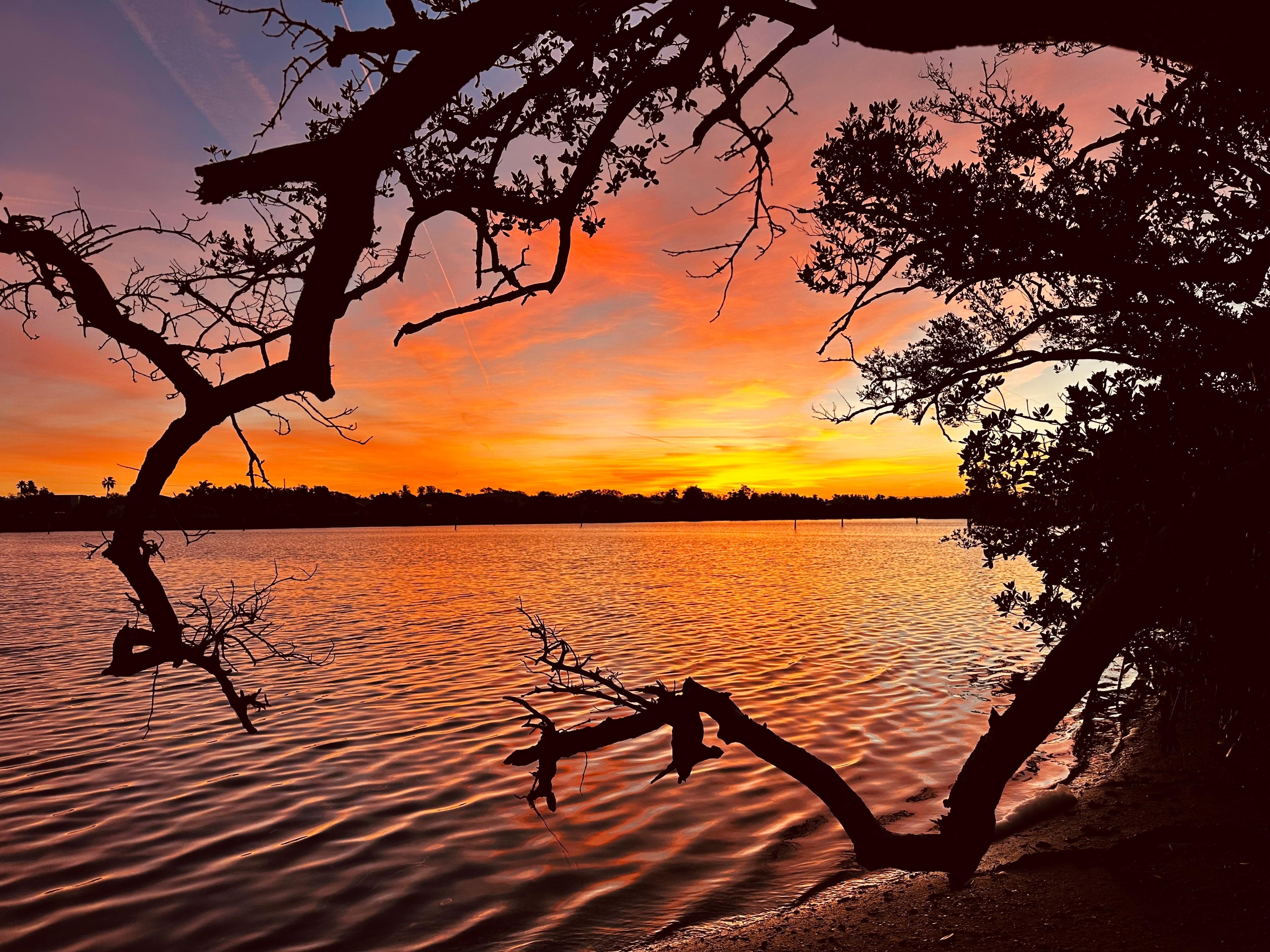 Sunrise across the street over the bay