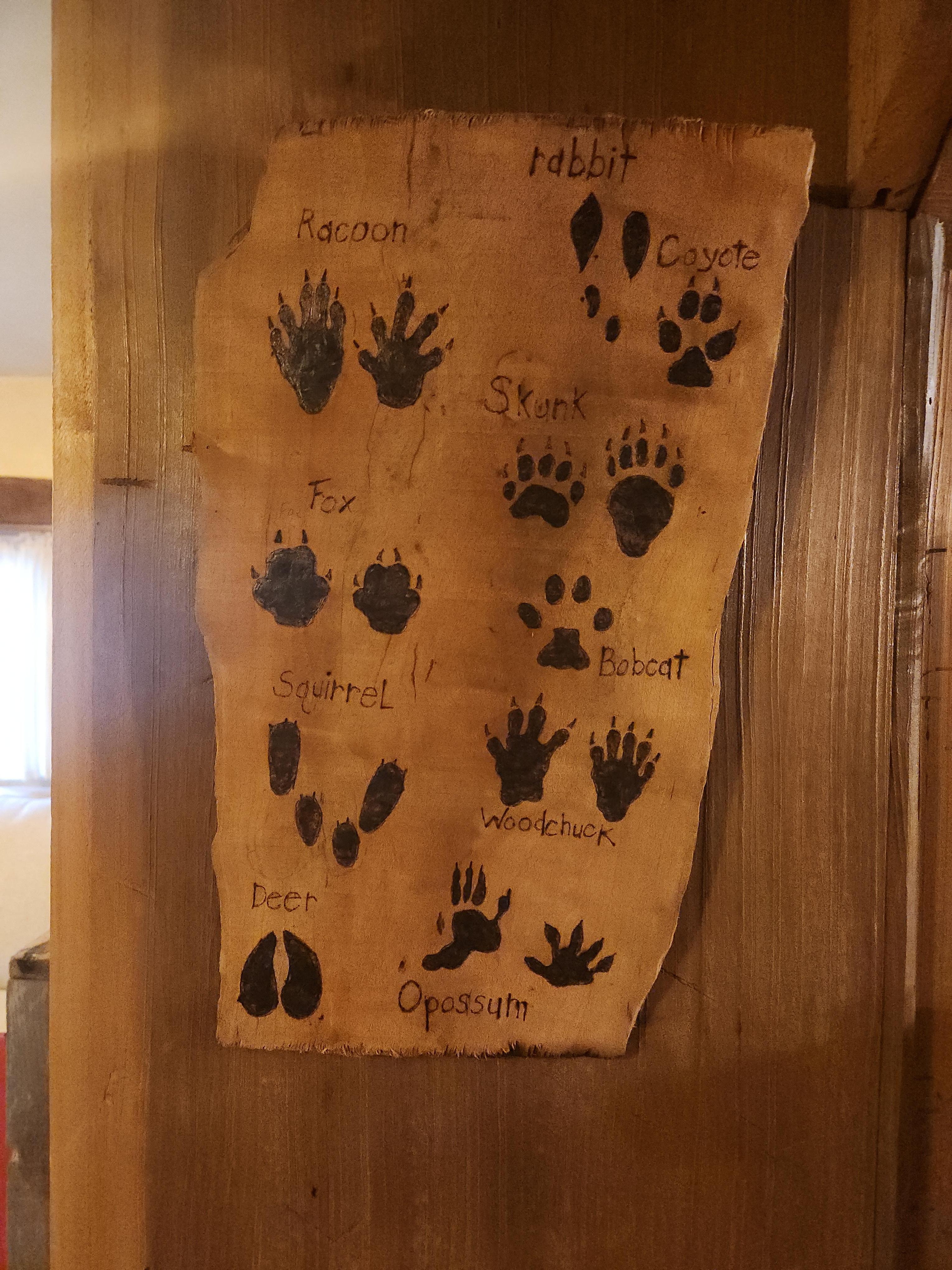 Cute and authentic decor