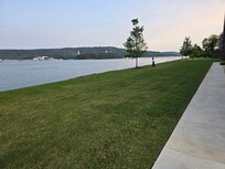 Backyard Dog Walking Area