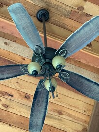 Living room ceiling fan