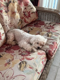 cozy furniture for napping