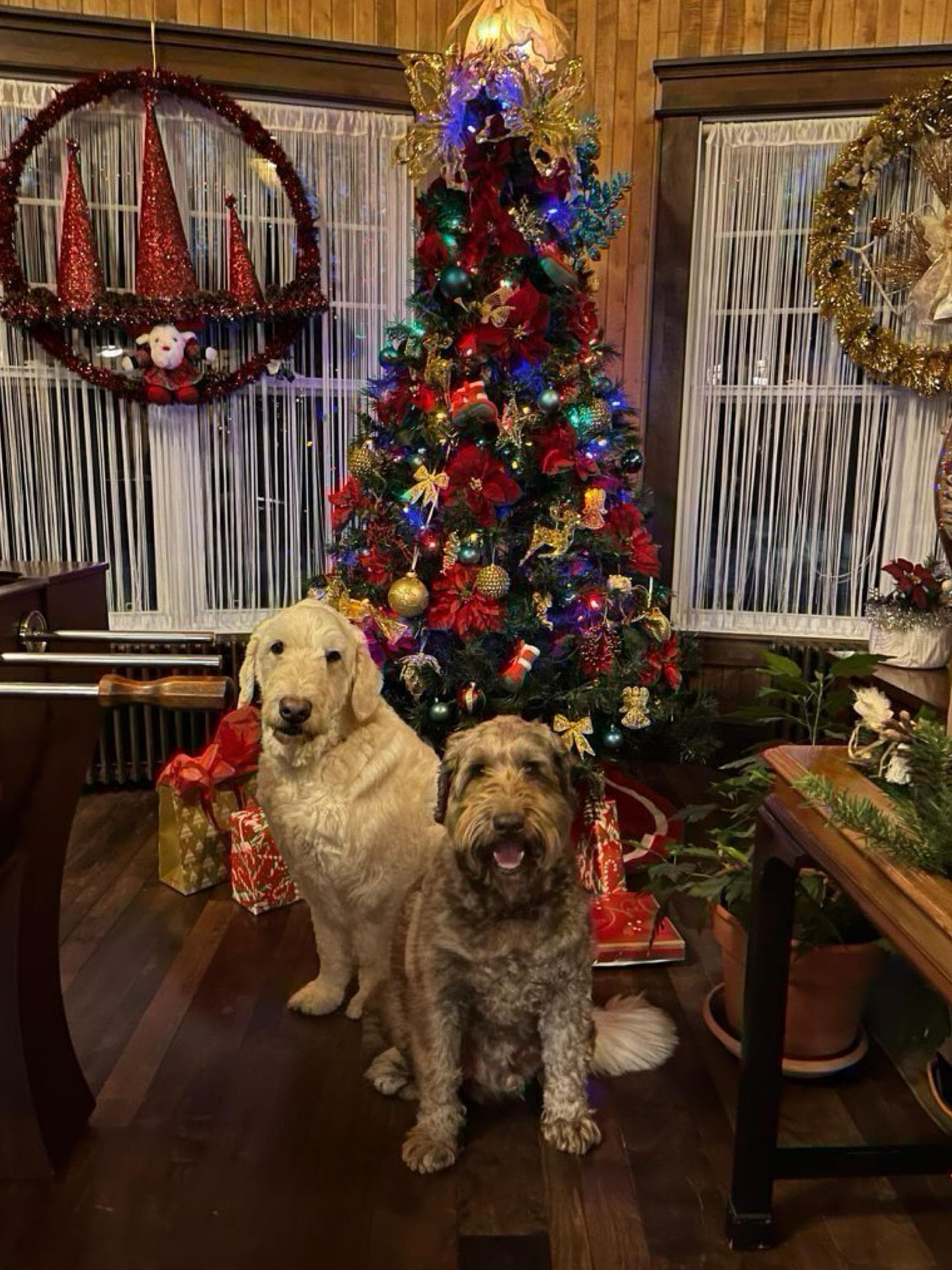 Christmas decorations were beautiful - and best of all, we just showed up and enjoyed.  Hassle free holidays!  