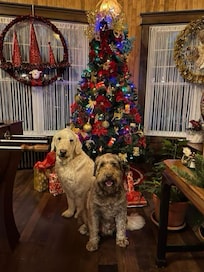 Christmas decorations were beautiful - and best of all, we just showed up and enjoyed. Hassle free holidays!