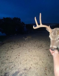 The host left corn for us to feed the deer!