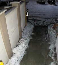 Staff assisting with theft.