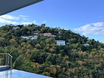 Another view from my bedroom window.