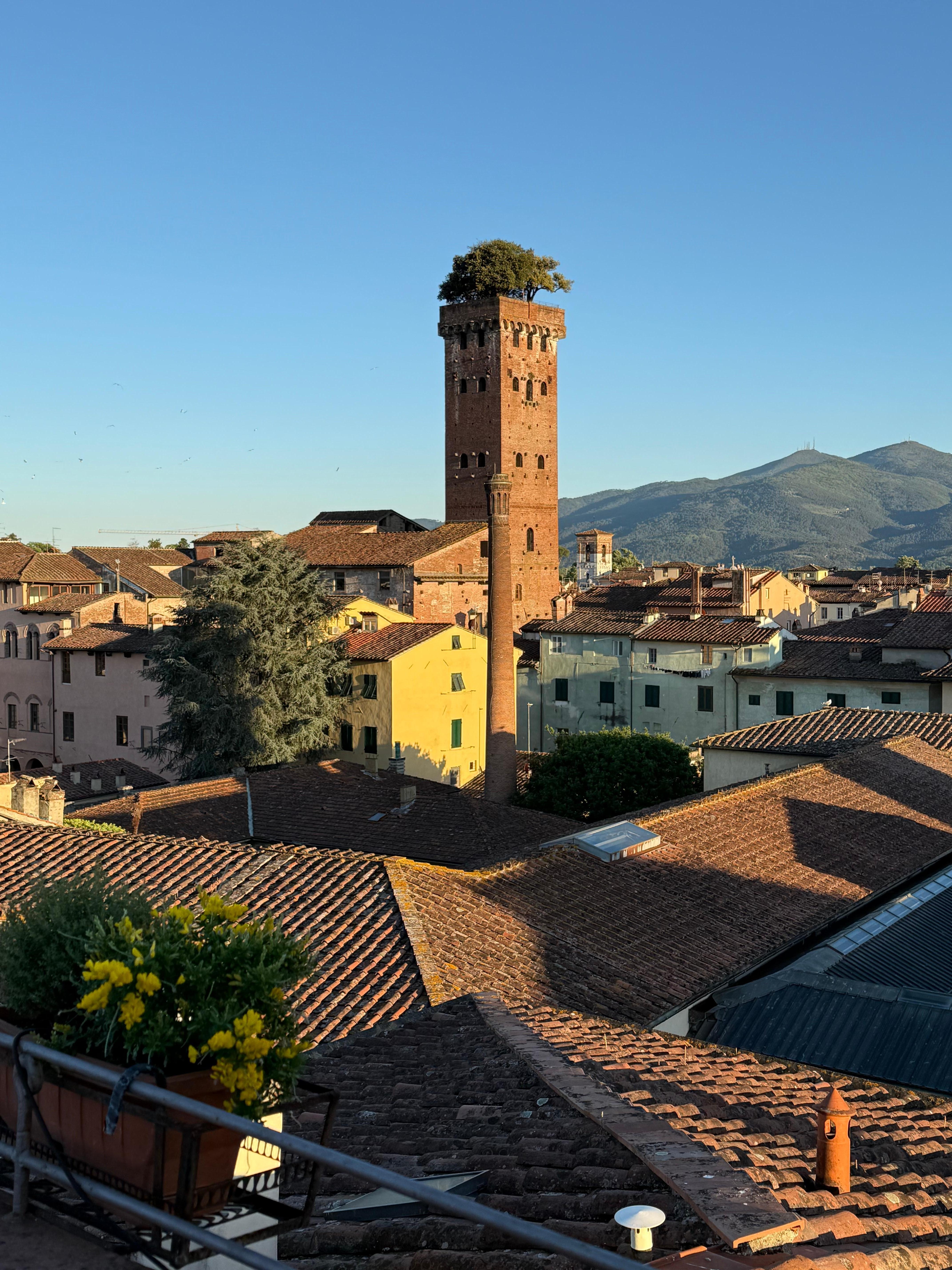 Guinigi tower very close by