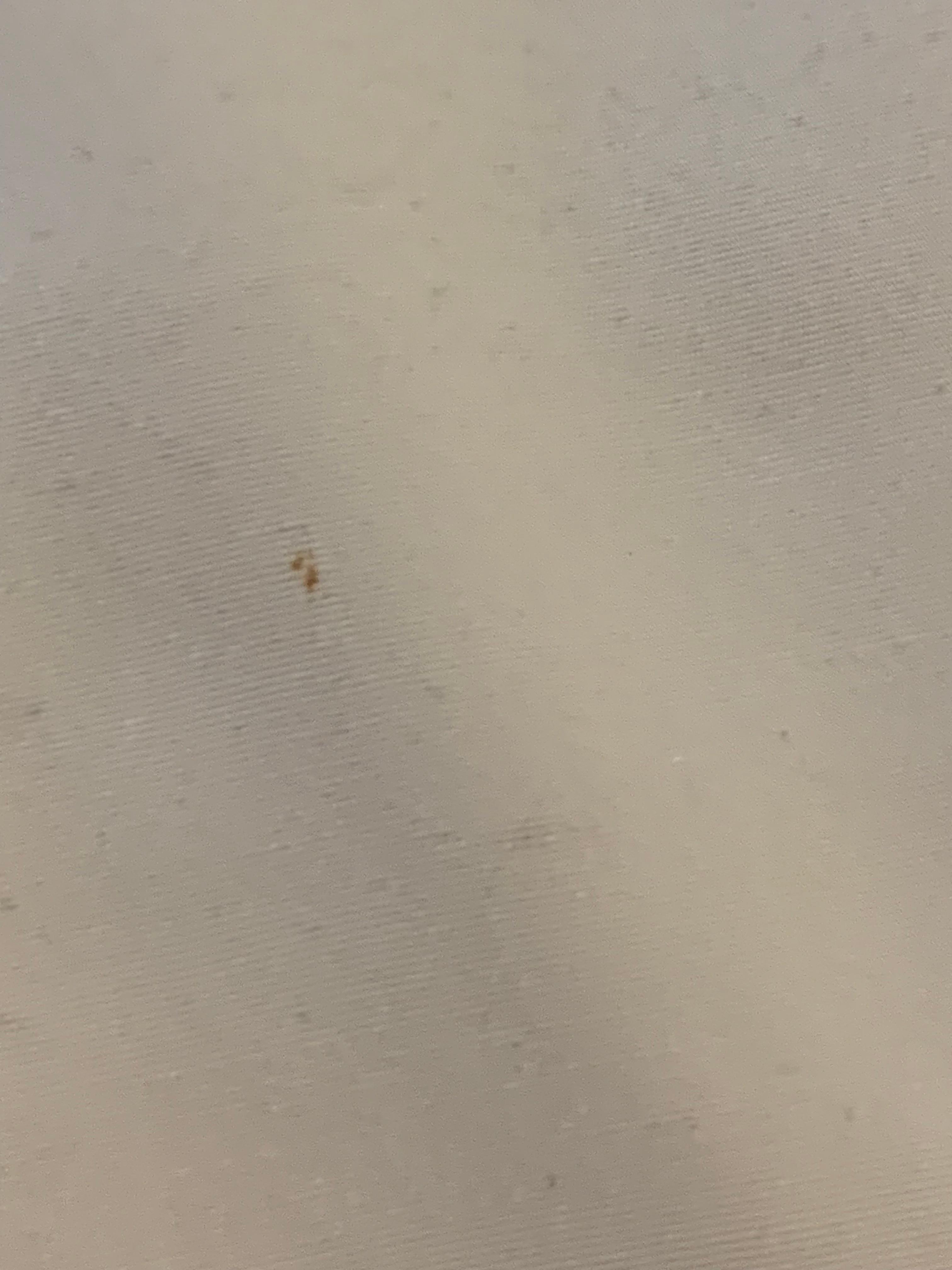 Second blood spit on top shedt