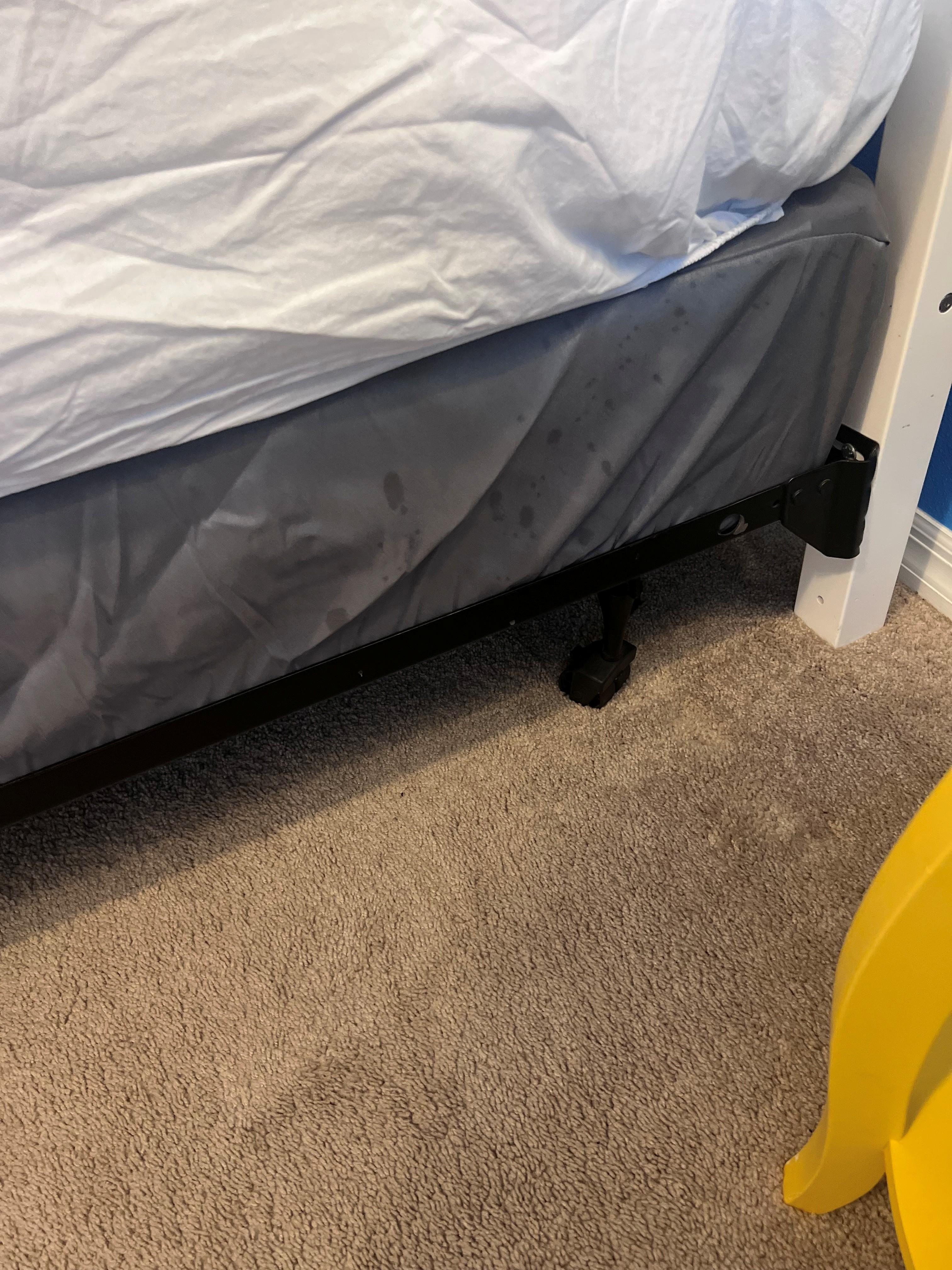 sperm / dog spray looking spots