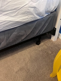 sperm / dog spray looking spots