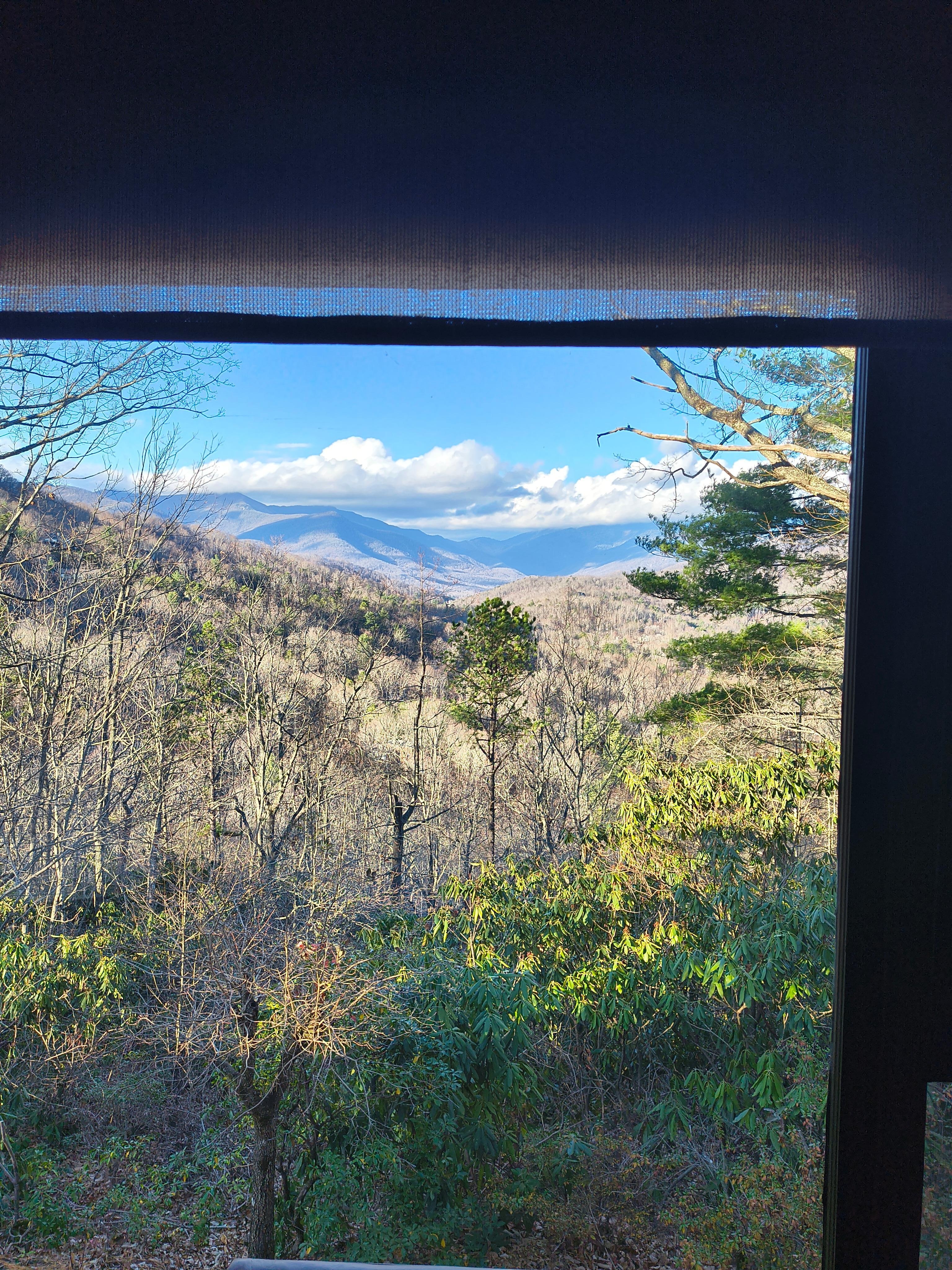 View from livingroom