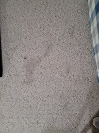 Carpet stains