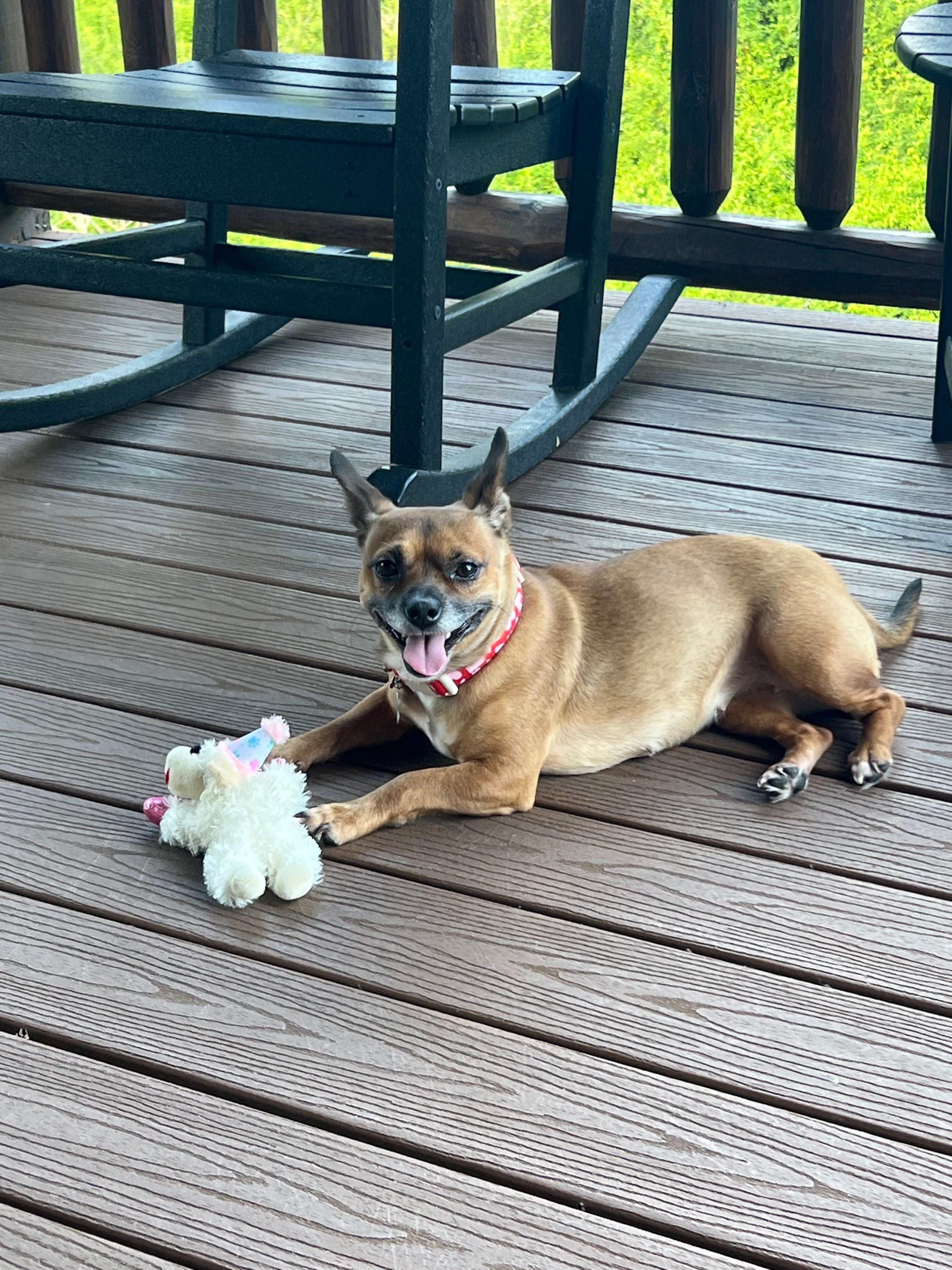 Maggie loved the covered back deck!