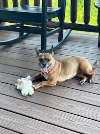Maggie loved the covered back deck!