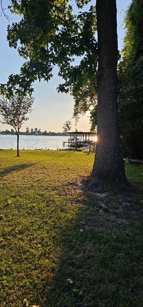 View from Picnic table