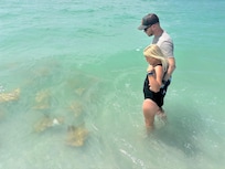 There was a school of stingrays that kept swimming up and down the beach