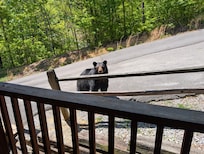 We had a visitor one day!