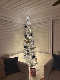 Beautiful Christmas tree!