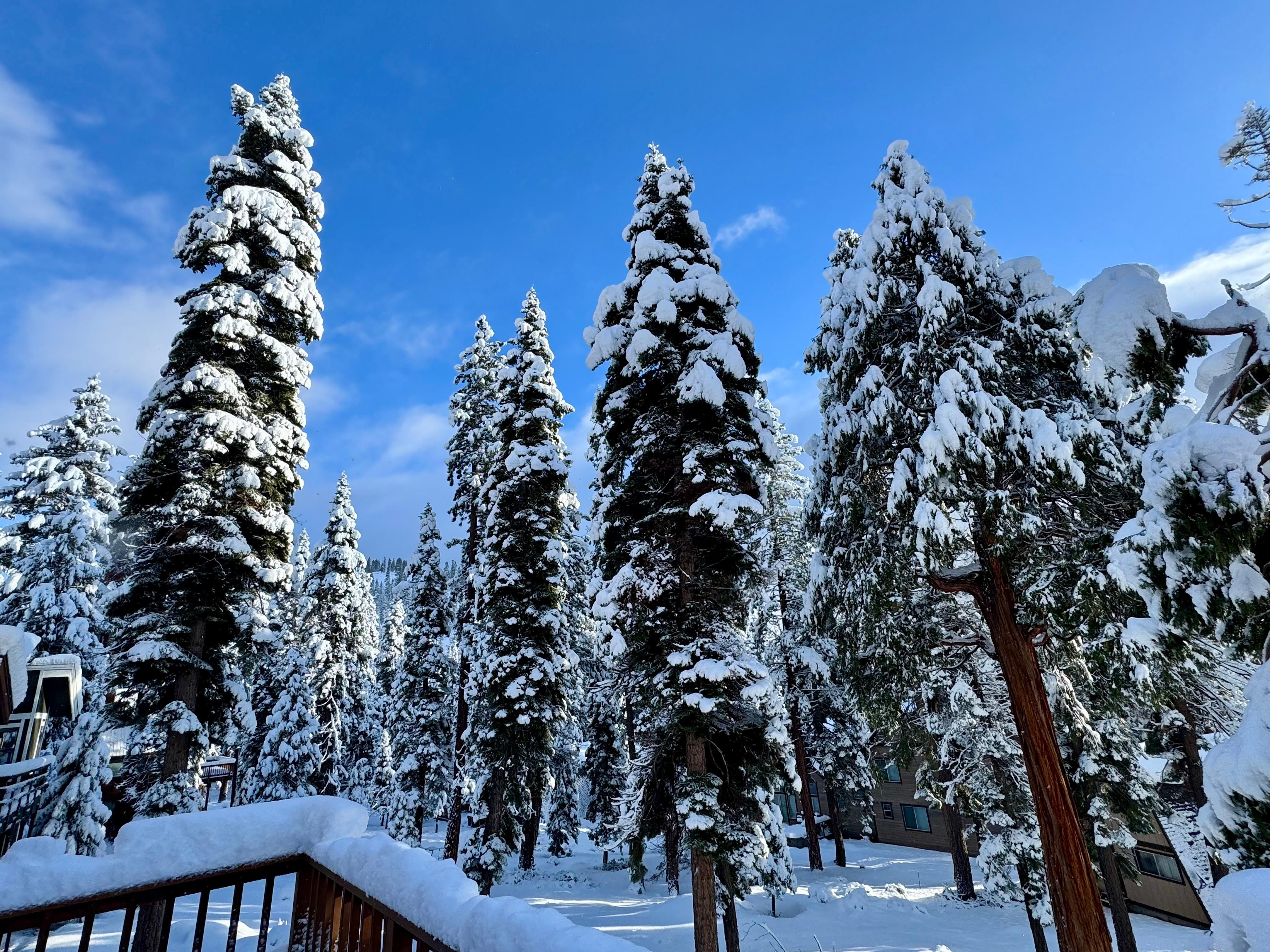 View from the back deck. 
