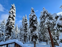 View from the back deck.