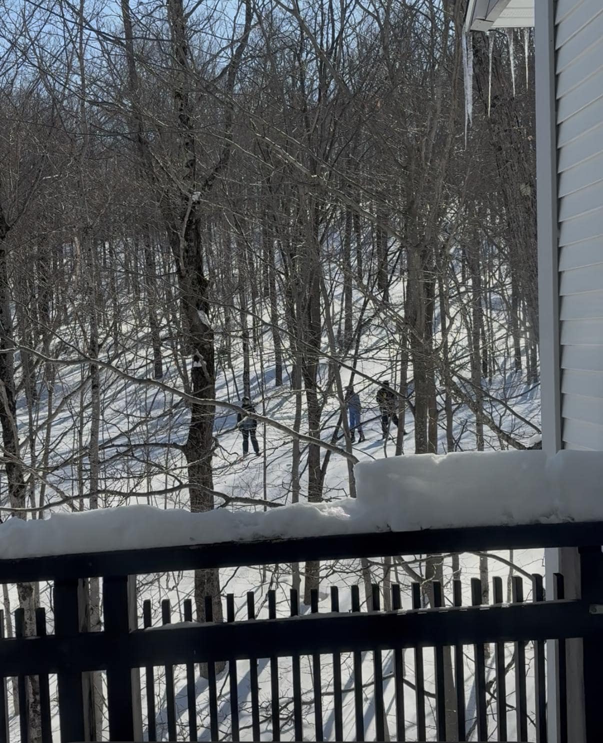 View of the Sundog trail from our condo balcony.