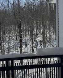 View of the Sundog trail from our condo balcony.