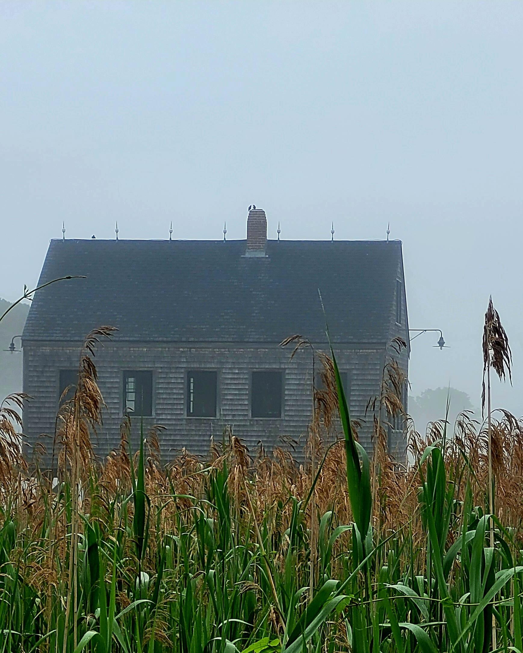 Cape Porpoise 