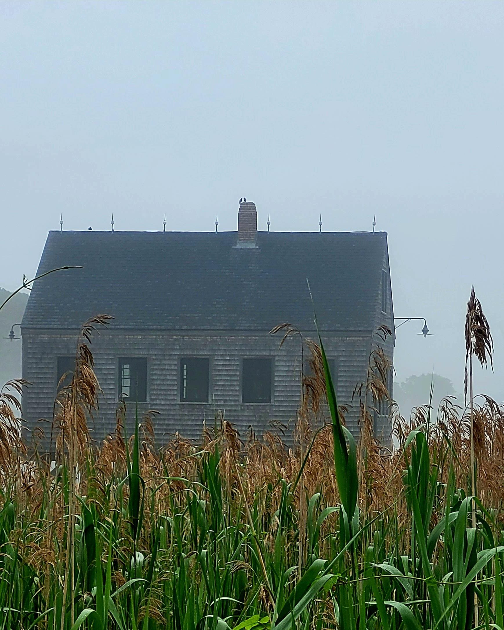 Cape Porpoise