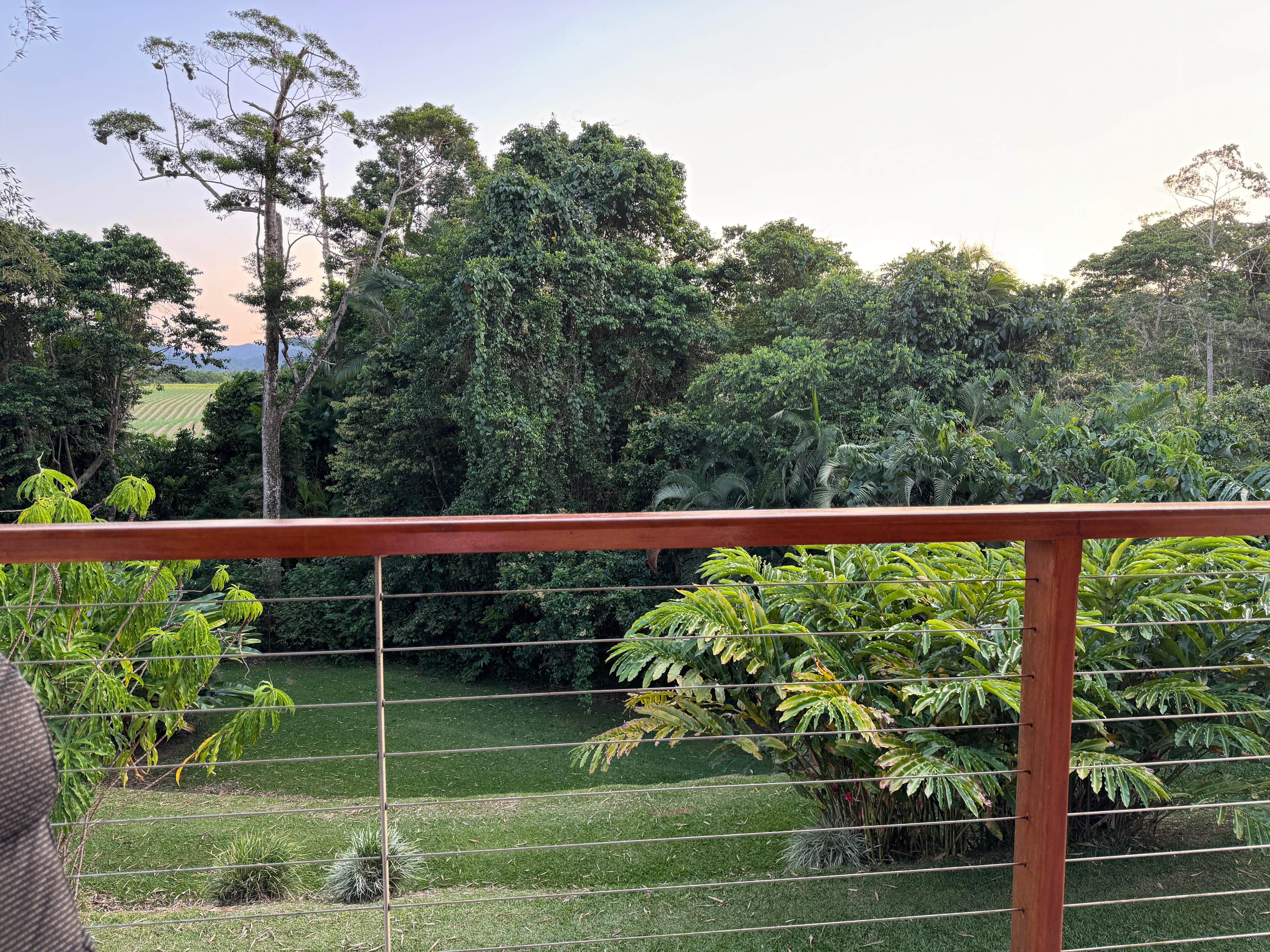 View from the balcony