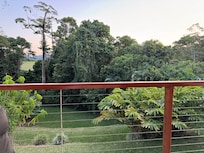 View from the balcony