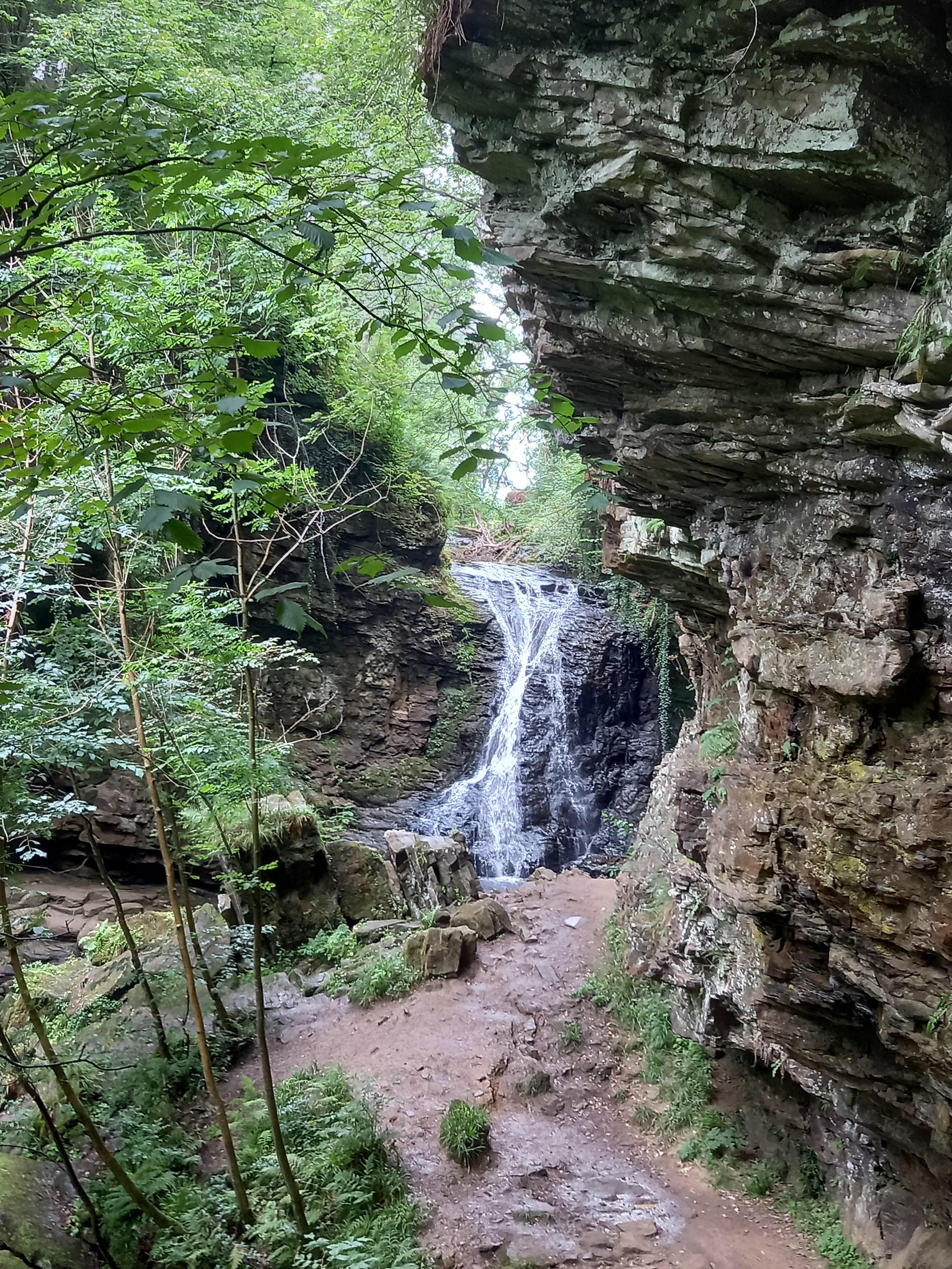 Hareshaw Linn Walk