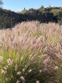 Superstition Wilderness