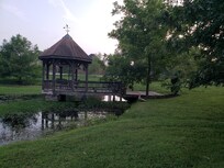 Pond