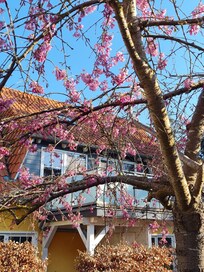 Wohnung mit Blick aus dem Garten.
