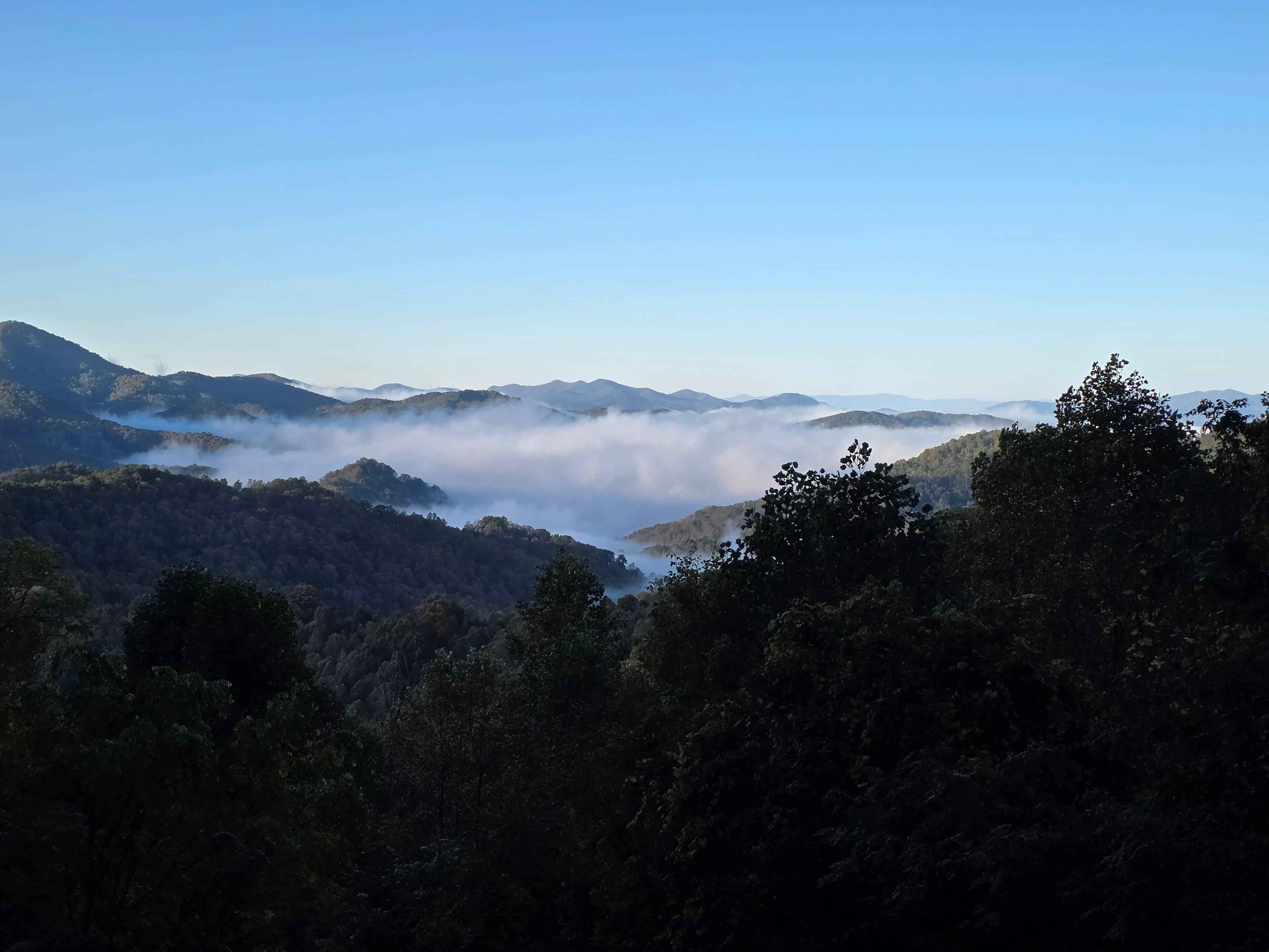 Morning view from the deck