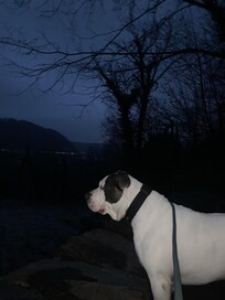 Night hike on the trail