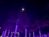 “Breathless” area.