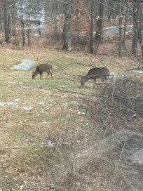 Friends from the neighborhood.