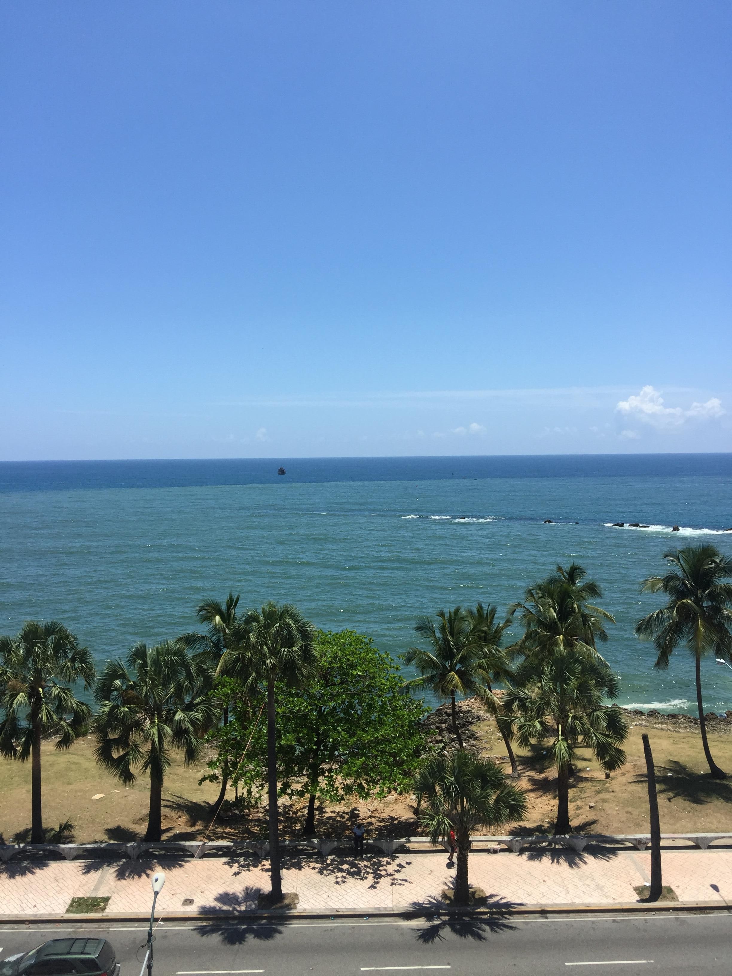 The view from my room