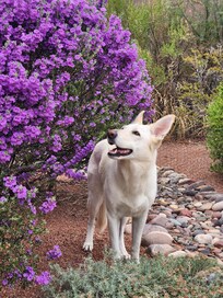 On the back patio of the Casita