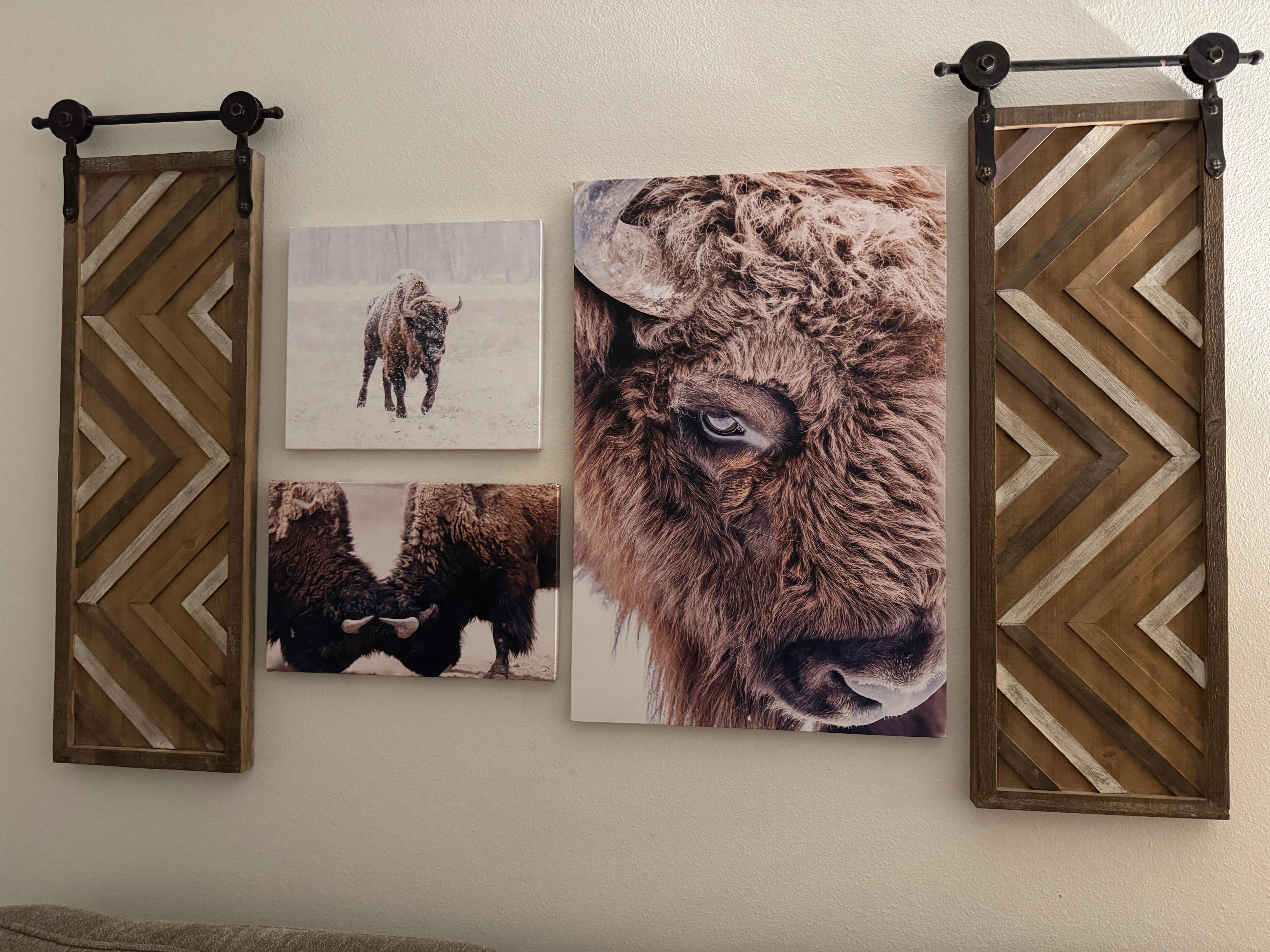 We lost our nephew 5 years ago.  He loved bison so it was very special to see this in the living room. 