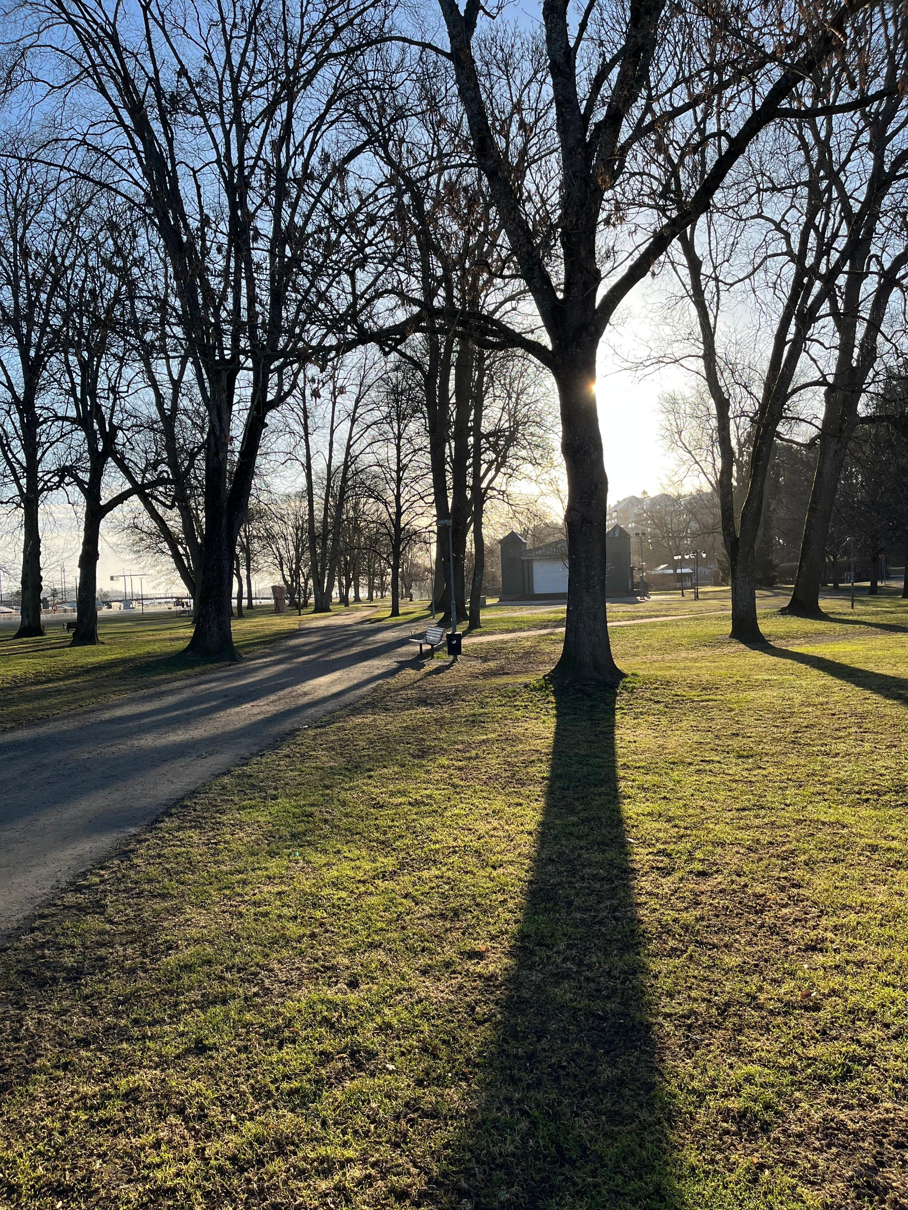 Parken i Norrtälje- veldig hundevennlig og masse ulike fugler 