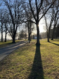 Parken i Norrtälje- veldig hundevennlig og masse ulike fugler