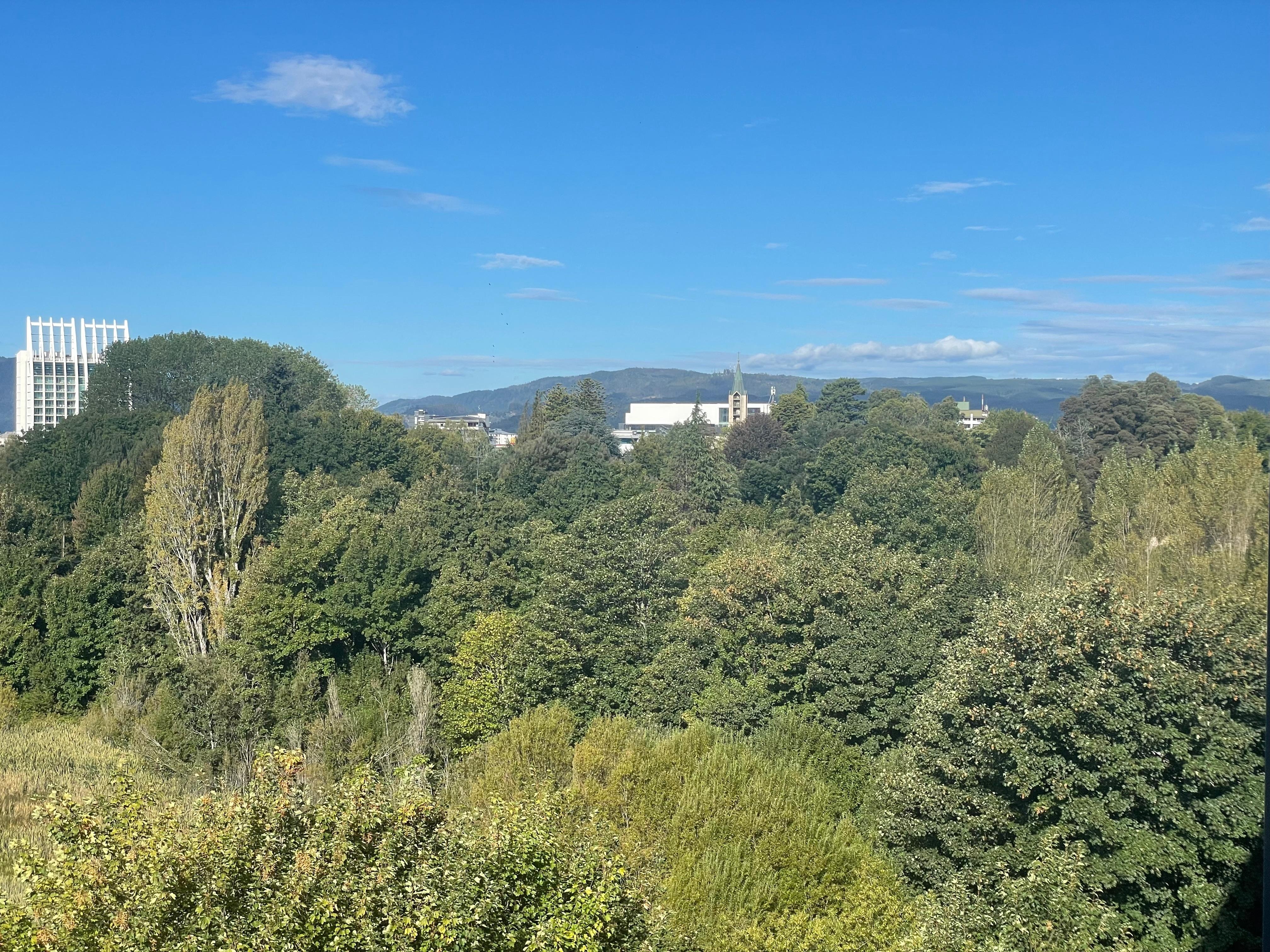 View from the balcony.
