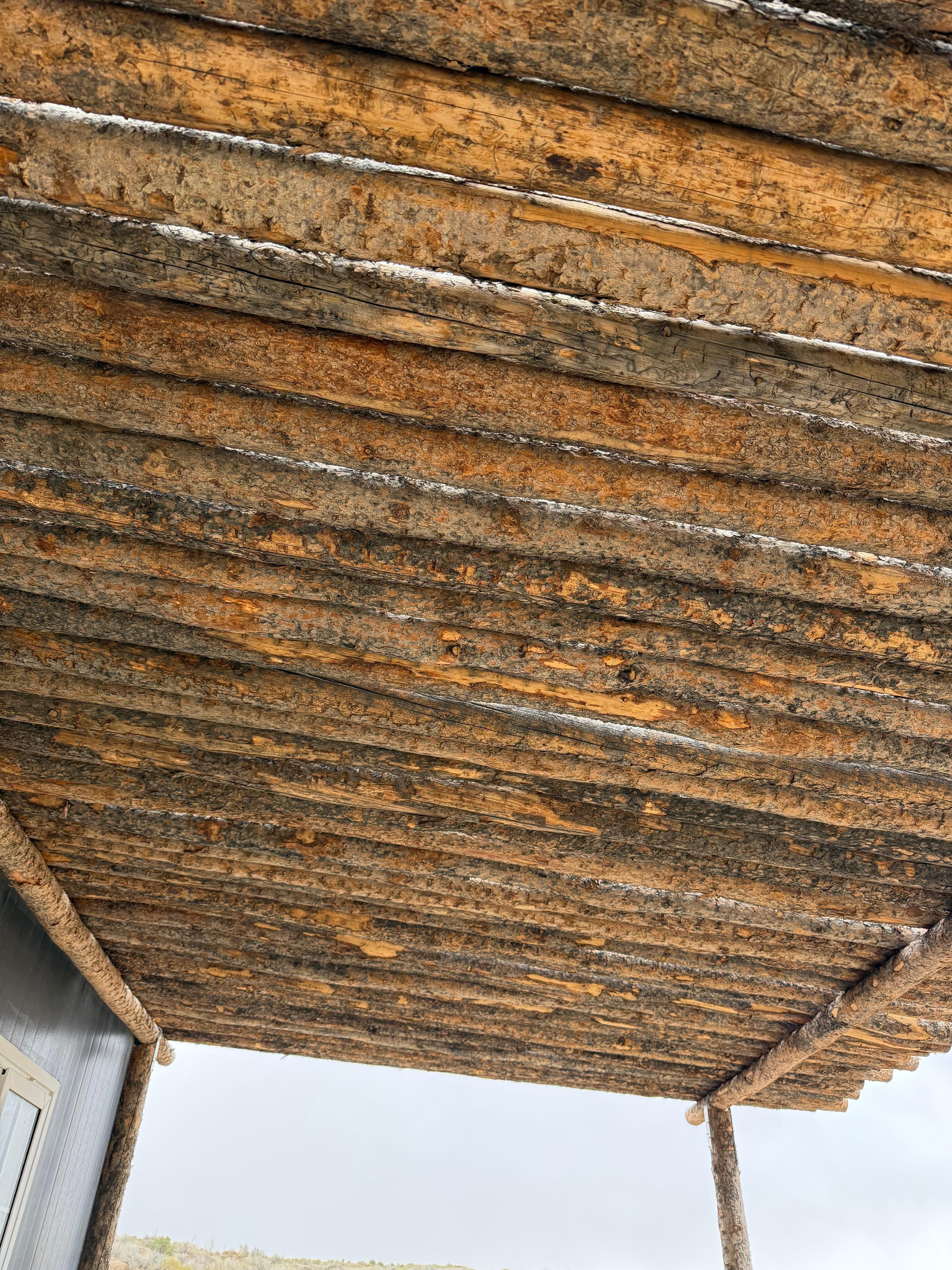 Beautiful porch ceiling