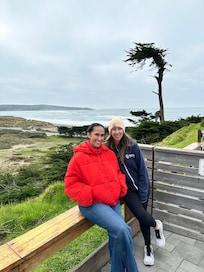 At the restaurant and shop