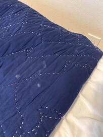 crusty bedding when we arrived