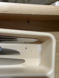 Mouse droppings in kitchen drawers.