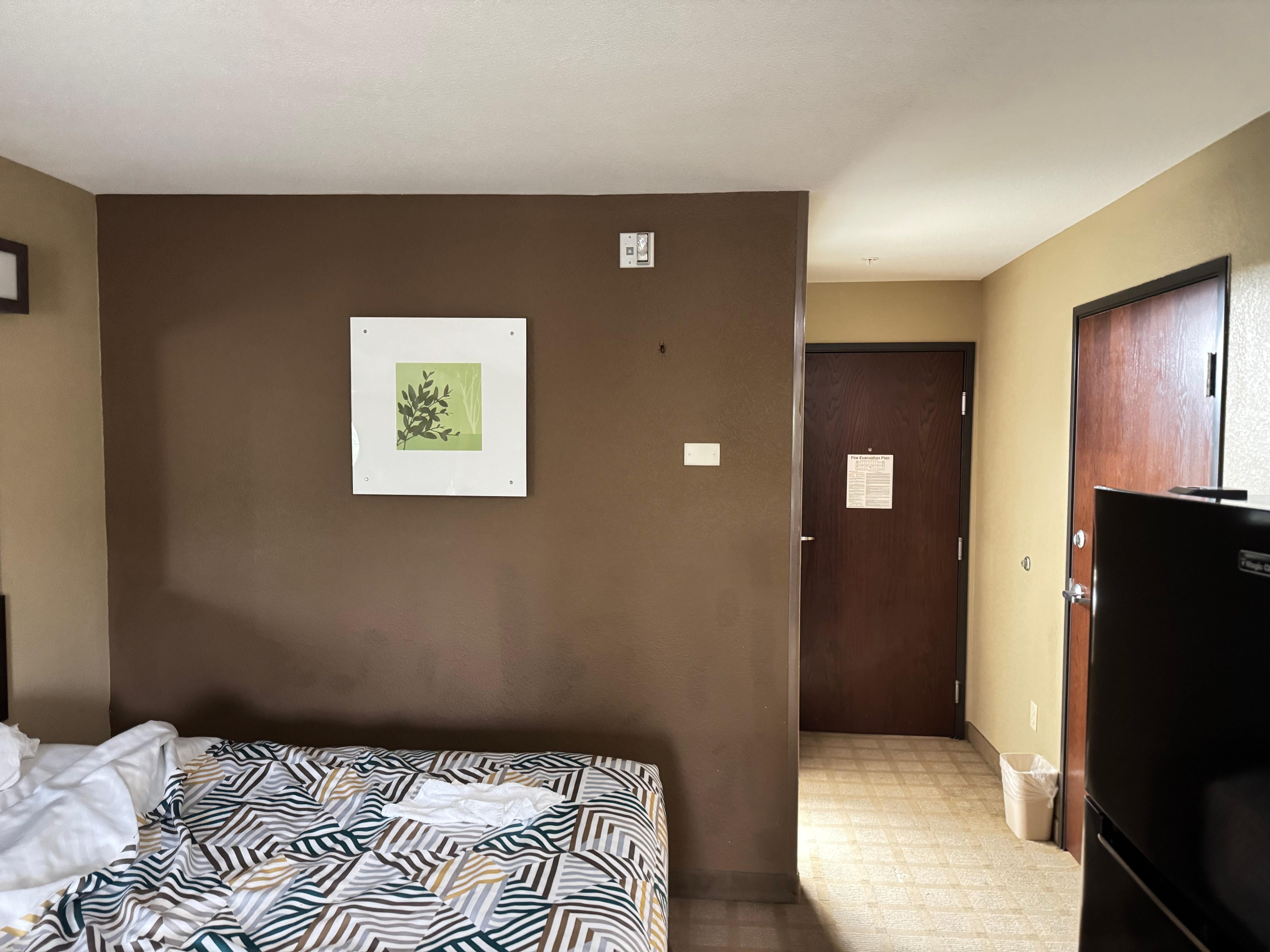 There is a cockroach on the wall.  